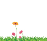 Test de grossesse en ligne